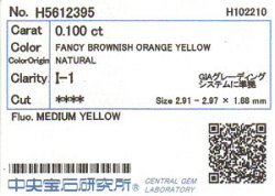 中央宝石研究所ソーティング画像