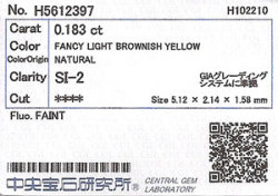 中央宝石研究所ソーティング画像