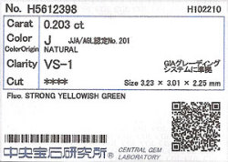 中央宝石研究所ソーティング袋画像