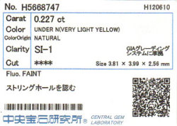 中央宝石研究所ソーティング画像