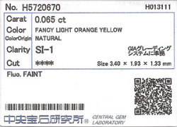 中央宝石研究所ソーティング画像