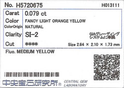 中央宝石研究所ソーティング画像