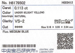 中央宝石研究所ソーティング画像