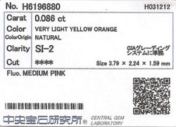 中央宝石研究所ソーティング袋画像