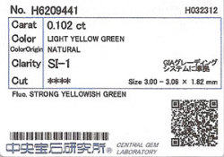 中央宝石研究所ソーティング袋画像