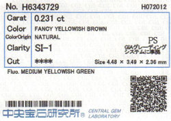 中央宝石研究所ソーティング画像