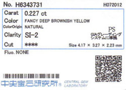 中央宝石研究所ソーティング画像