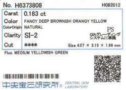 中央宝石研究所ソーティング画像