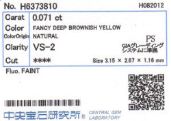 中央宝石研究所ソーティング画像