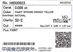 中央宝石研究所ソーティング画像