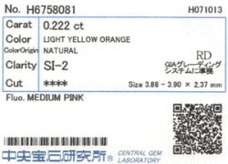 中央宝石研究所ソーティング袋画像