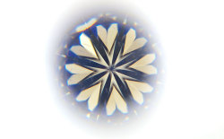 イエローダイヤモンドルース画像