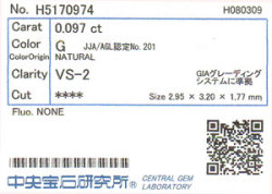 中央宝石研究所ソーティング画像