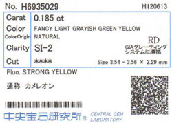 カメレオンダイヤモンド　ソーティング　画像