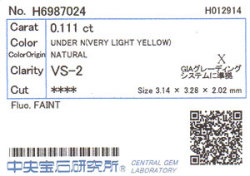 中央宝石研究所ソーティング画像