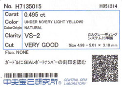 中央宝石研究所ソーティング画像