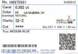 中央宝石研究所ソーティング画像