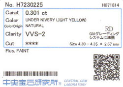 中央宝石研究所ソーティング画像