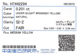 中央宝石研究所ソーティング画像