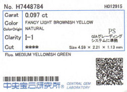 中央宝石研究所ソーティング画像