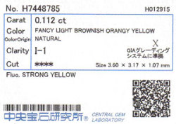 中央宝石研究所ソーティング画像