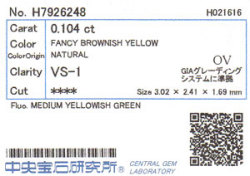 中央宝石研究所ソーティング画像