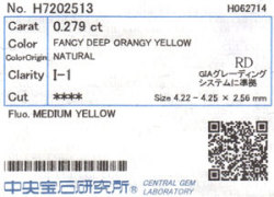 中央宝石研究所ソーティング画像