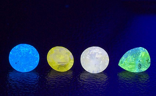 蛍光性比較画像